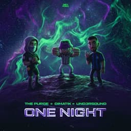 ONE NIGHT